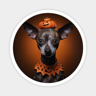 Xoloitzcuintli Halloween Magnet